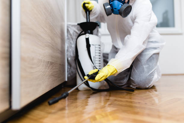 Best Pest Removal Services  in Clayton, CA