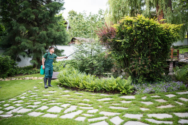 Best Residential Pest Control  in Clayton, CA