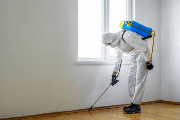 Best Wildlife Control Services  in Clayton, CA